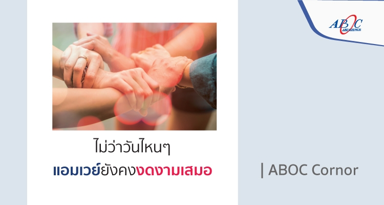 Alt Text 